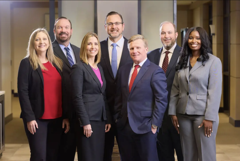 Lion law picture 768x516